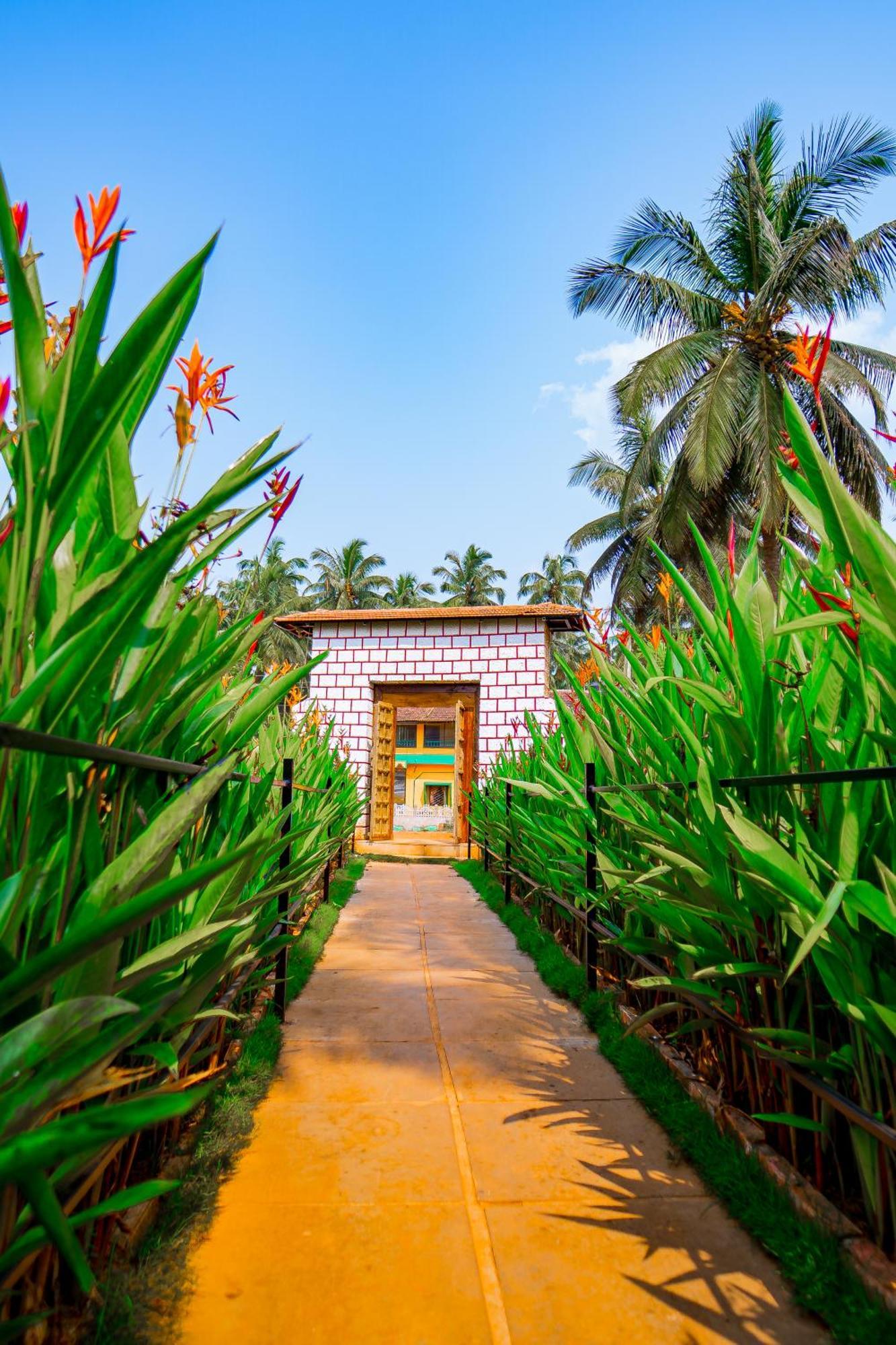 Orange Sky Beach Bungalow 阿贡达 外观 照片